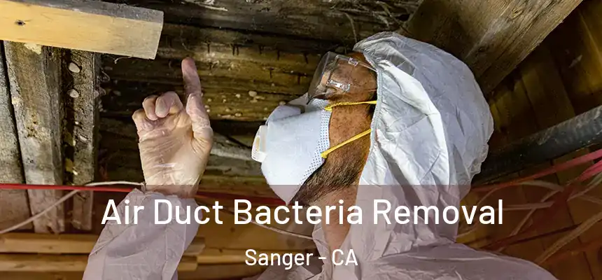 Air Duct Bacteria Removal Sanger - CA