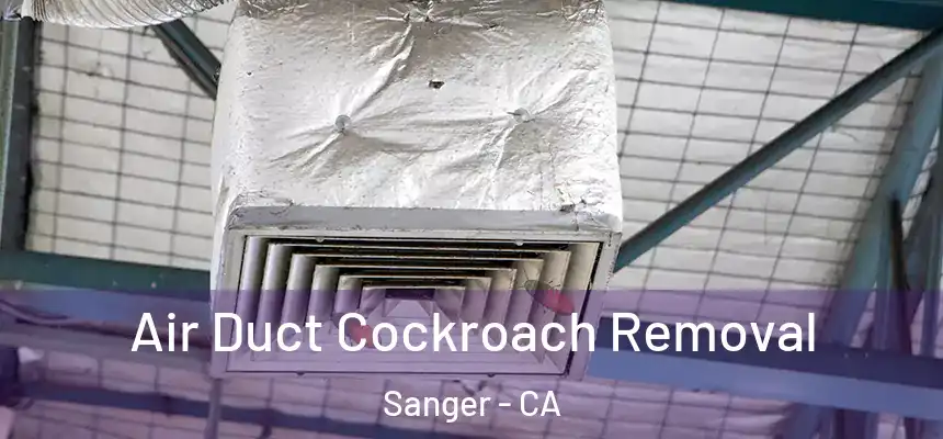  Air Duct Cockroach Removal Sanger - CA