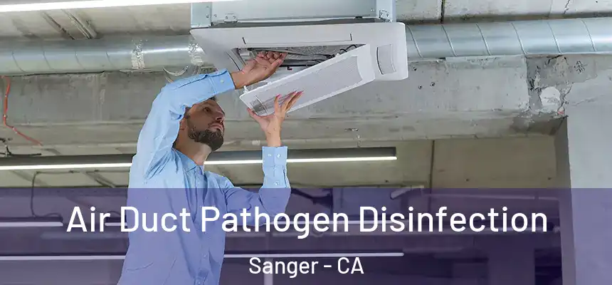  Air Duct Pathogen Disinfection Sanger - CA