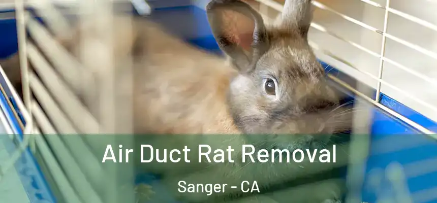 Air Duct Rat Removal Sanger - CA