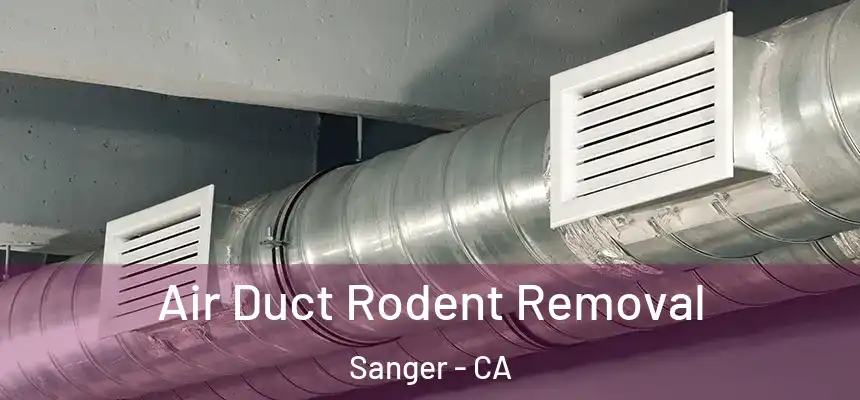 Air Duct Rodent Removal Sanger - CA