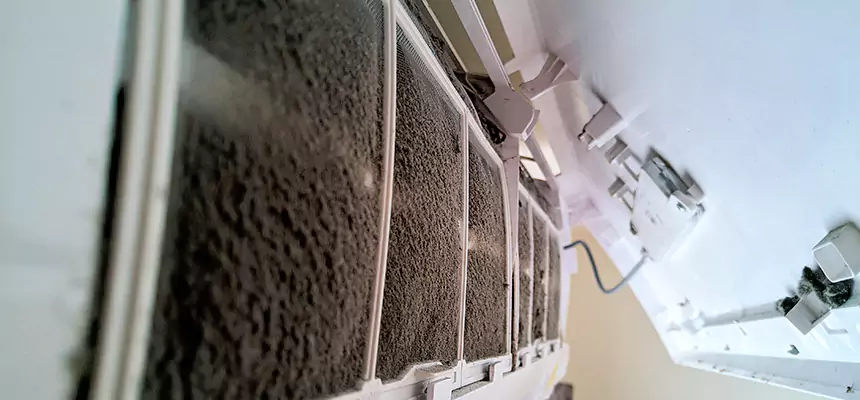 Preventive Air Duct Bacteria Removal in Sanger