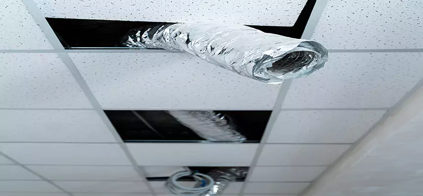 Affordable HVAC Sanitizing After Pest Removal in Sanger