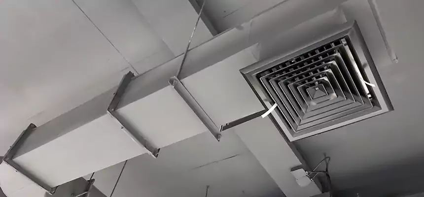 Our Pest Removal From Ducts Services in Sanger, CA