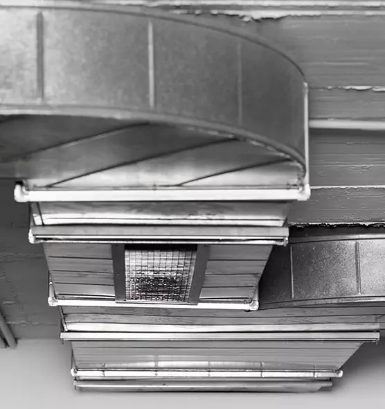 Professional Air Duct Pest Removal in Sanger, CA