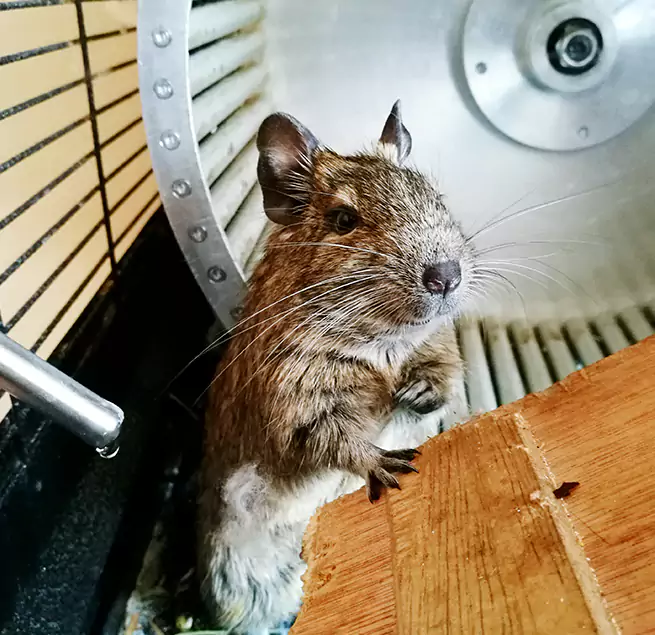 Why Homeowners & Businesses Trust Us Sanger, CA