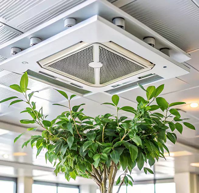 Why Homeowners & Businesses Trust Us in Sanger, CA?